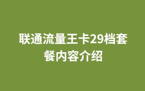 联通流量王卡29档套餐内容介绍