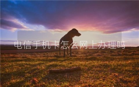电信手机卡怎么网上办理吗