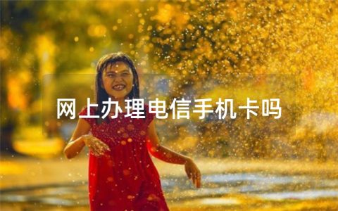 网上办理电信手机卡吗