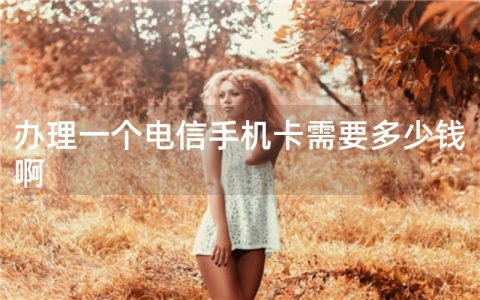 办理一个电信手机卡需要多少钱啊
