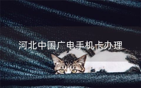 河北中国广电手机卡办理
