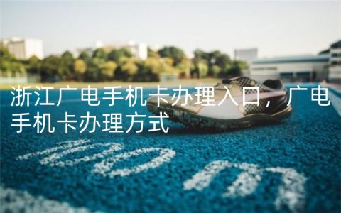 浙江广电手机卡办理入口，广电手机卡办理方式